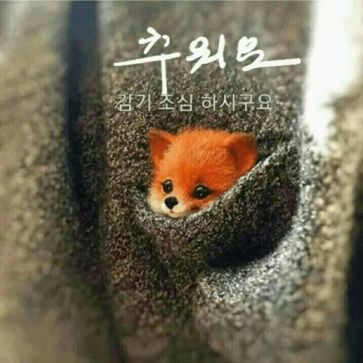 1544149252828.jpg
