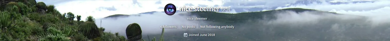 @nice-steemer.PNG