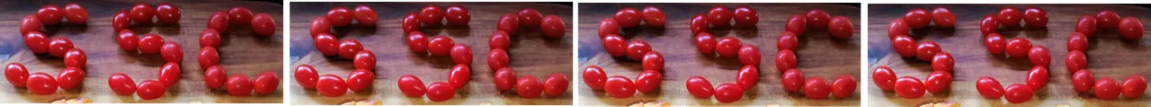 SSC Divider.png