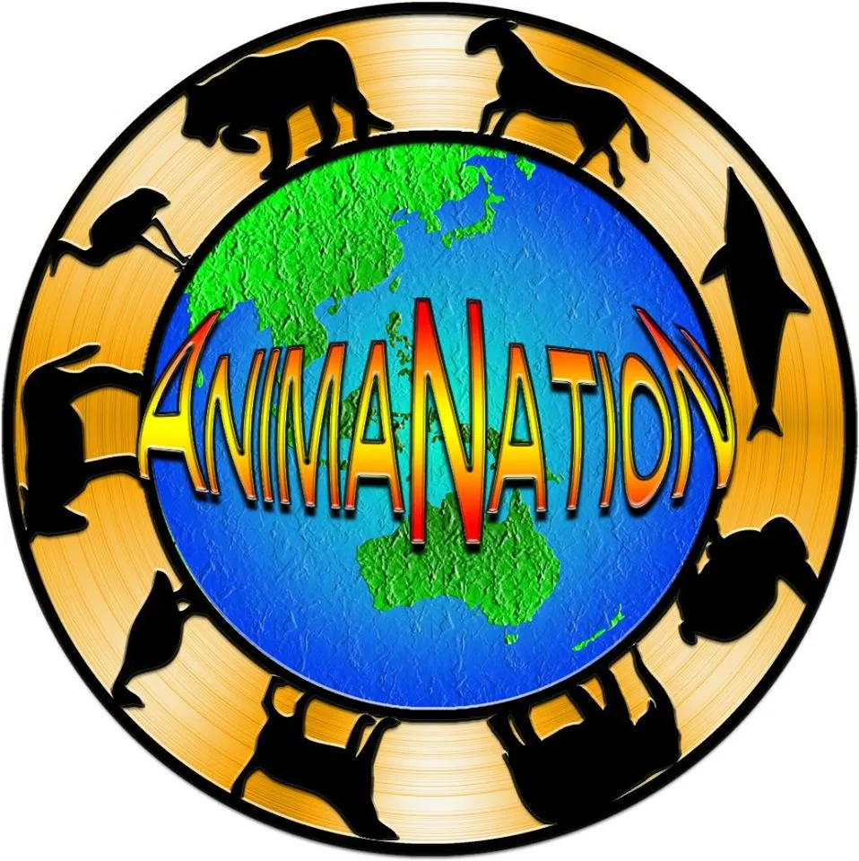 ANIMANATION LOGO BY CSP.jpg
