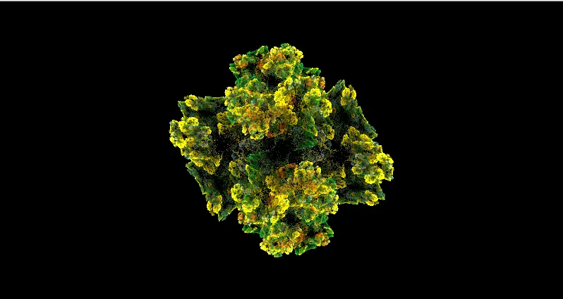 fractal daffodil phase 3.png