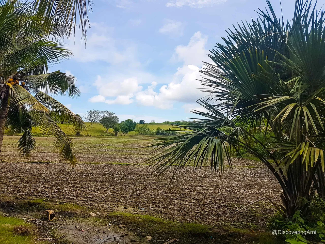 Buenavista Farmlands