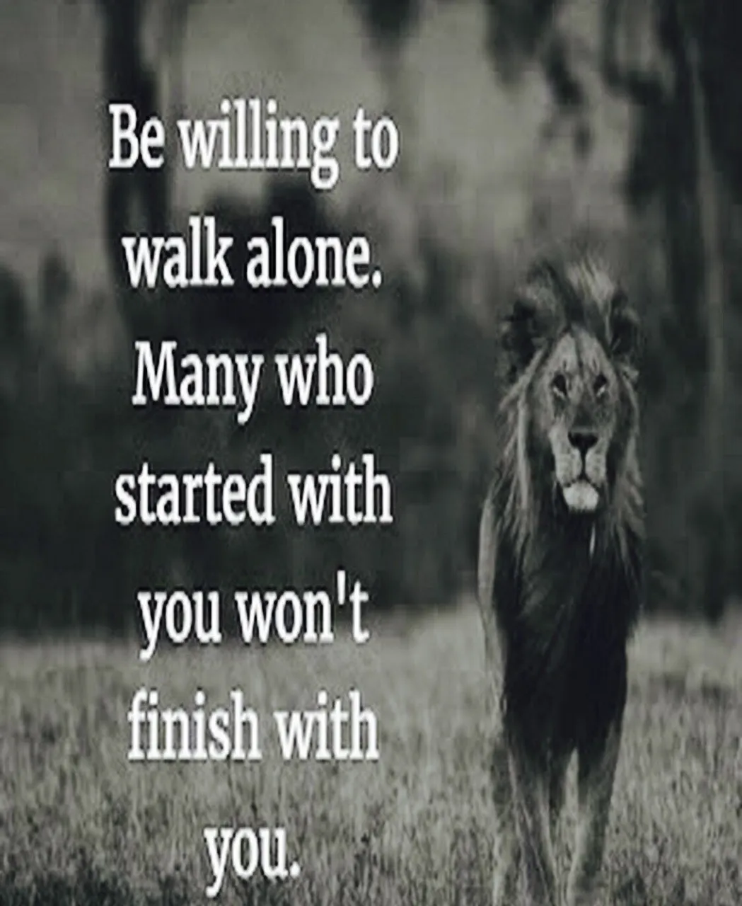 ff90e3f7a535f54c268c6a05c1aa1861.jpg