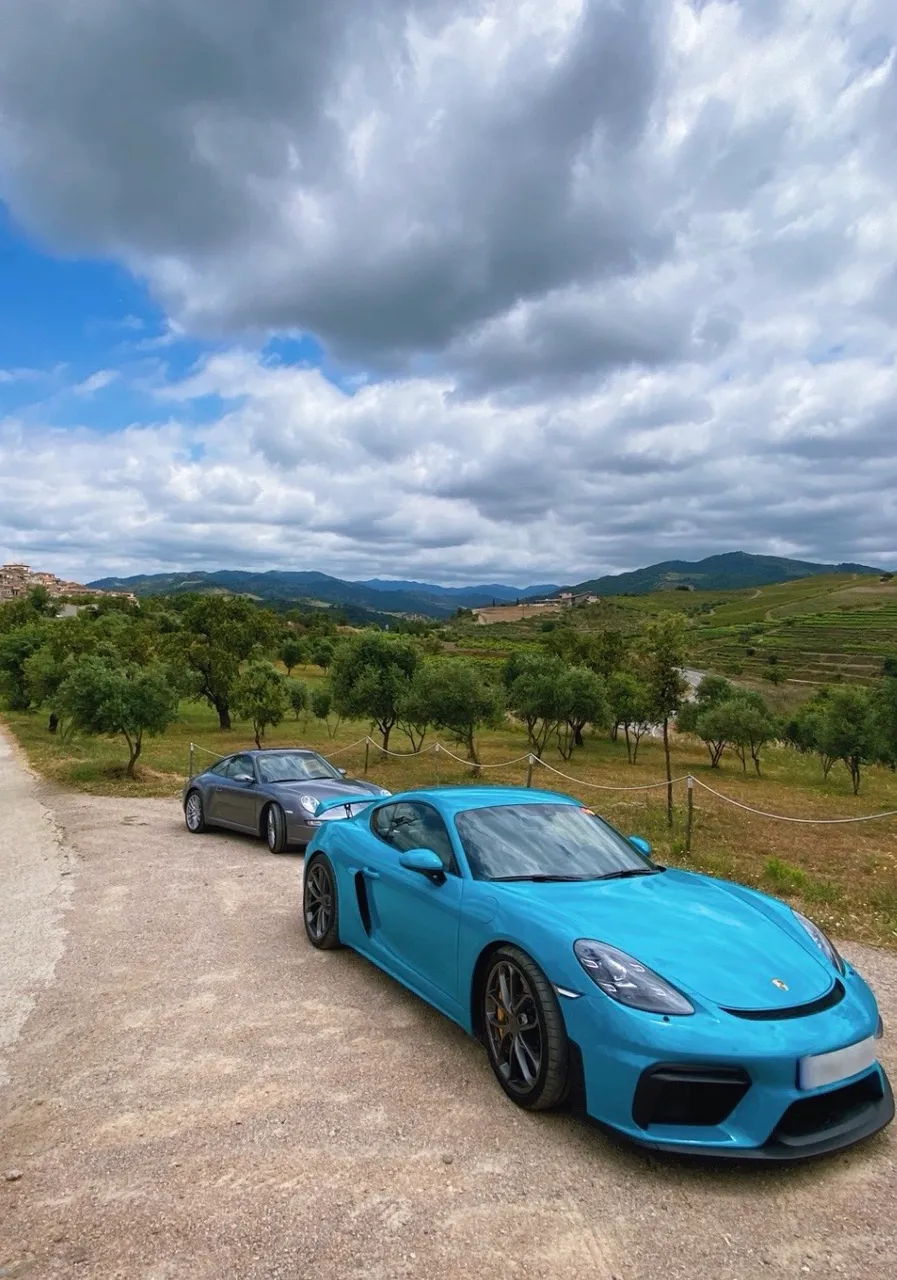 porschecaymangt4carrera997s.JPG