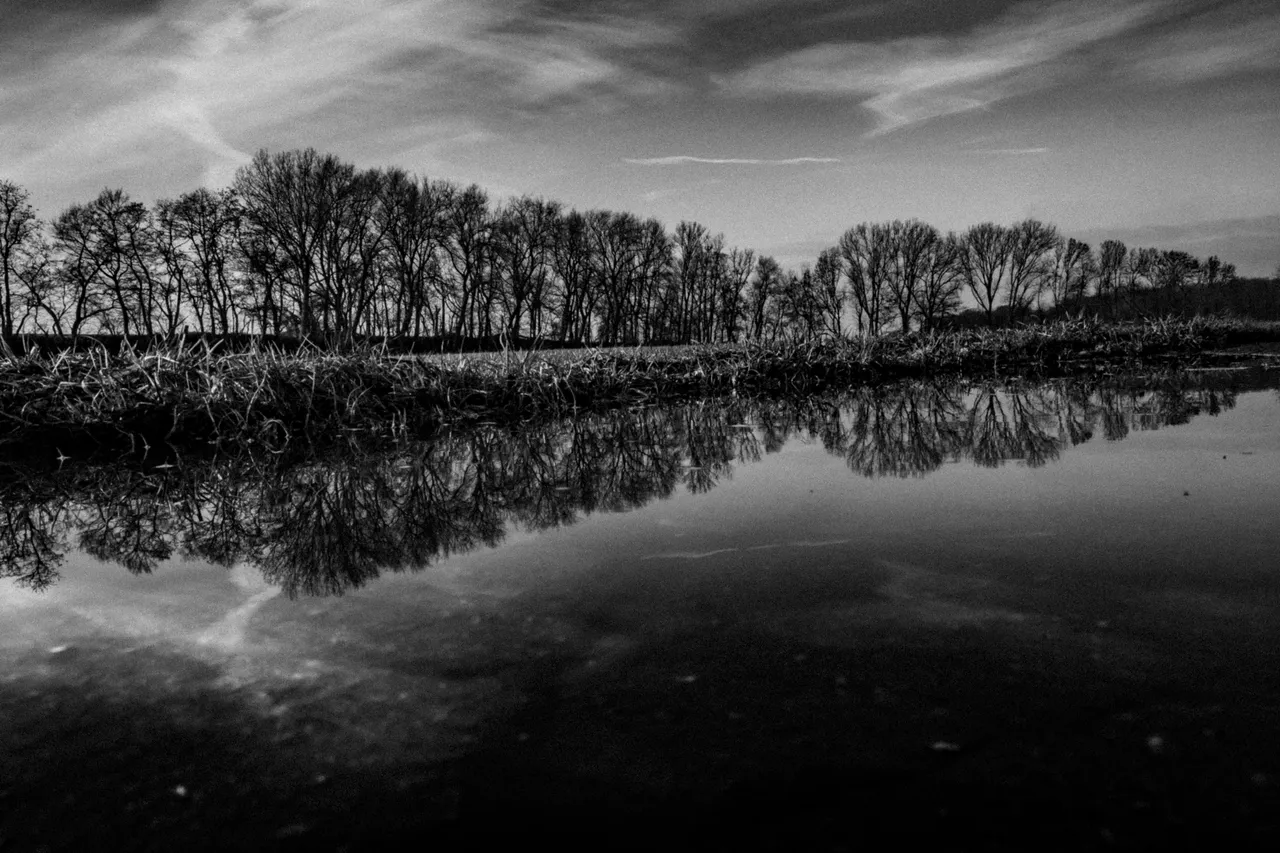 XT200926_Feldweg_Pfuetze_Baeume.JPG