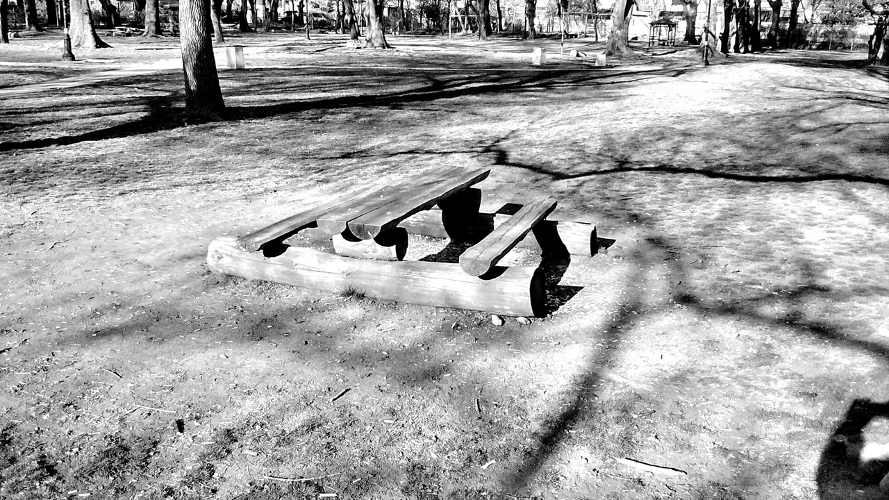 IMG_20190329_082225053_HDR  Copy.jpg