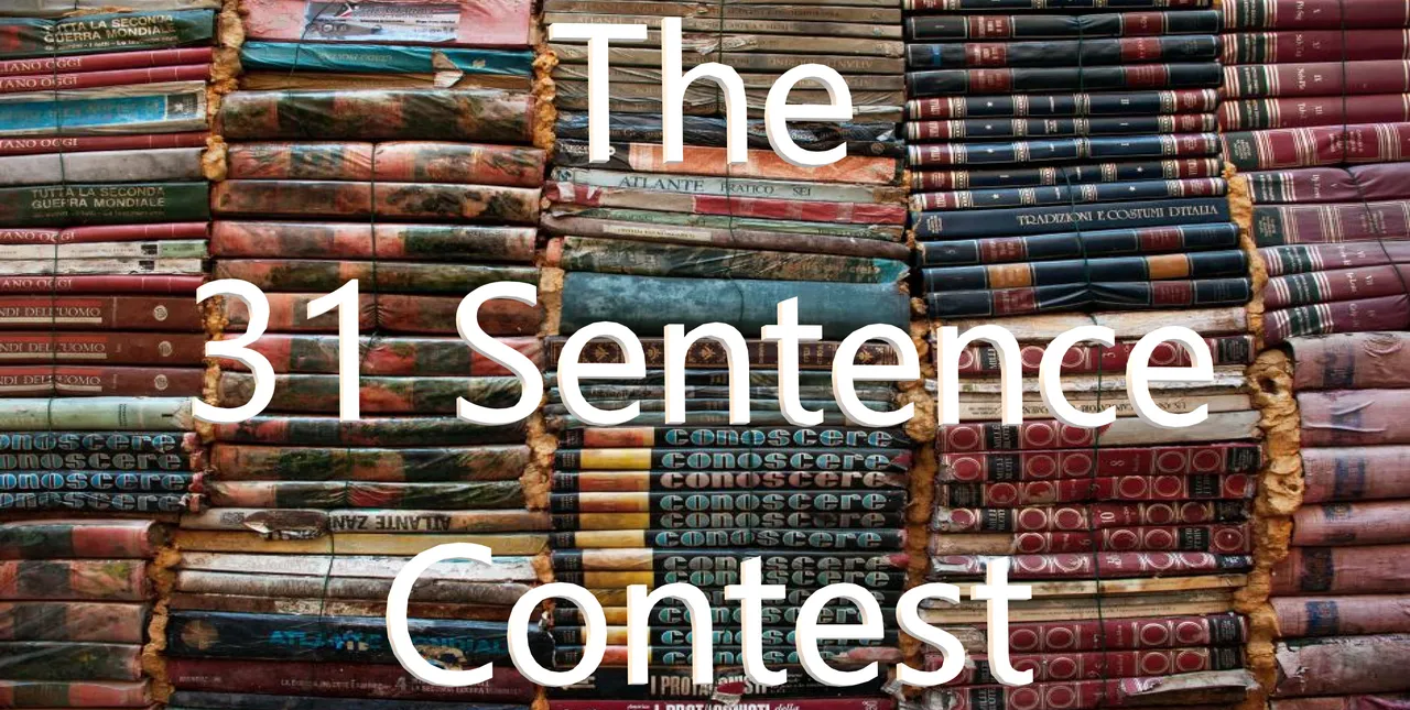 The 31 Sentence Contest.png