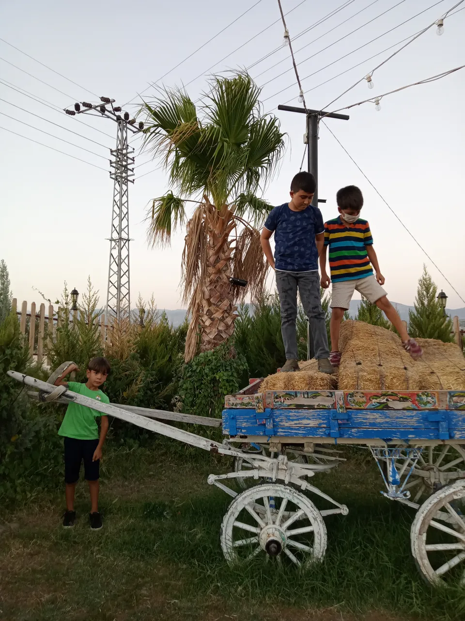 img20210831191717.jpg