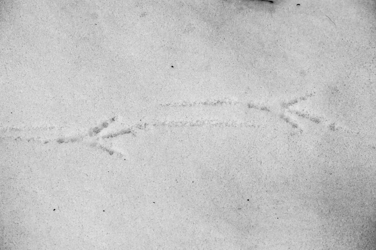 bw_27_img_2122_2_.jpg