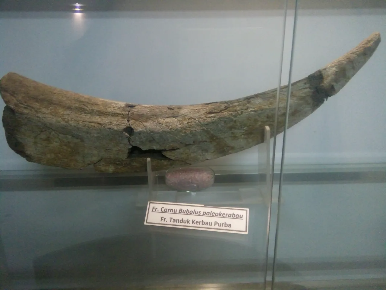 img20220111093140.jpg