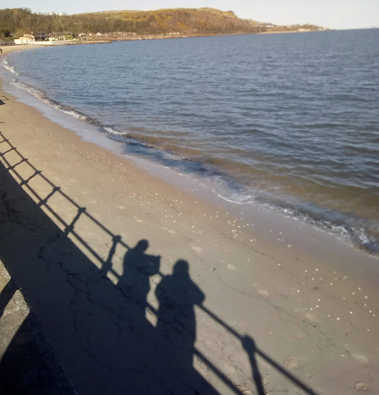 hive_shadow_beach.jpg