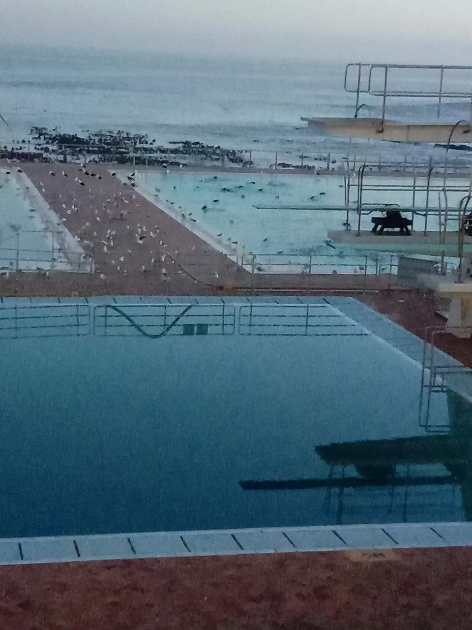 swimming_pools_3_.jpg
