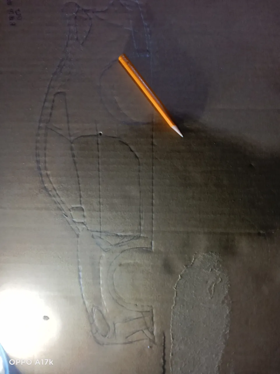 Drawing of the Dorsal View of the Car