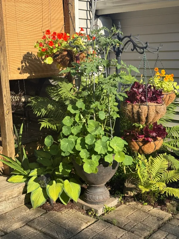 hivegarden-baskets.jpg
