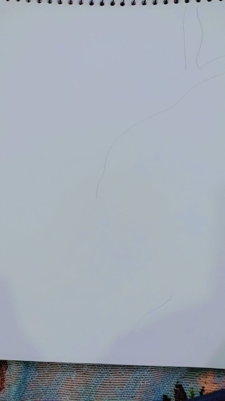 Snapchat-915364169.jpg