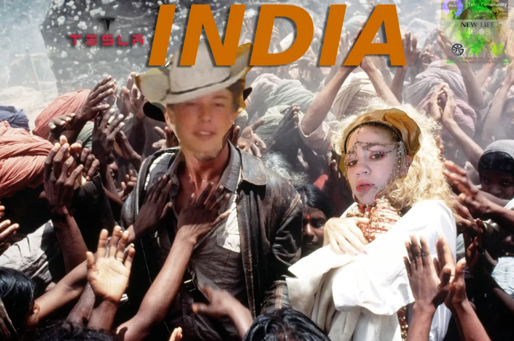 Tesla-Grimes-INDIA.png