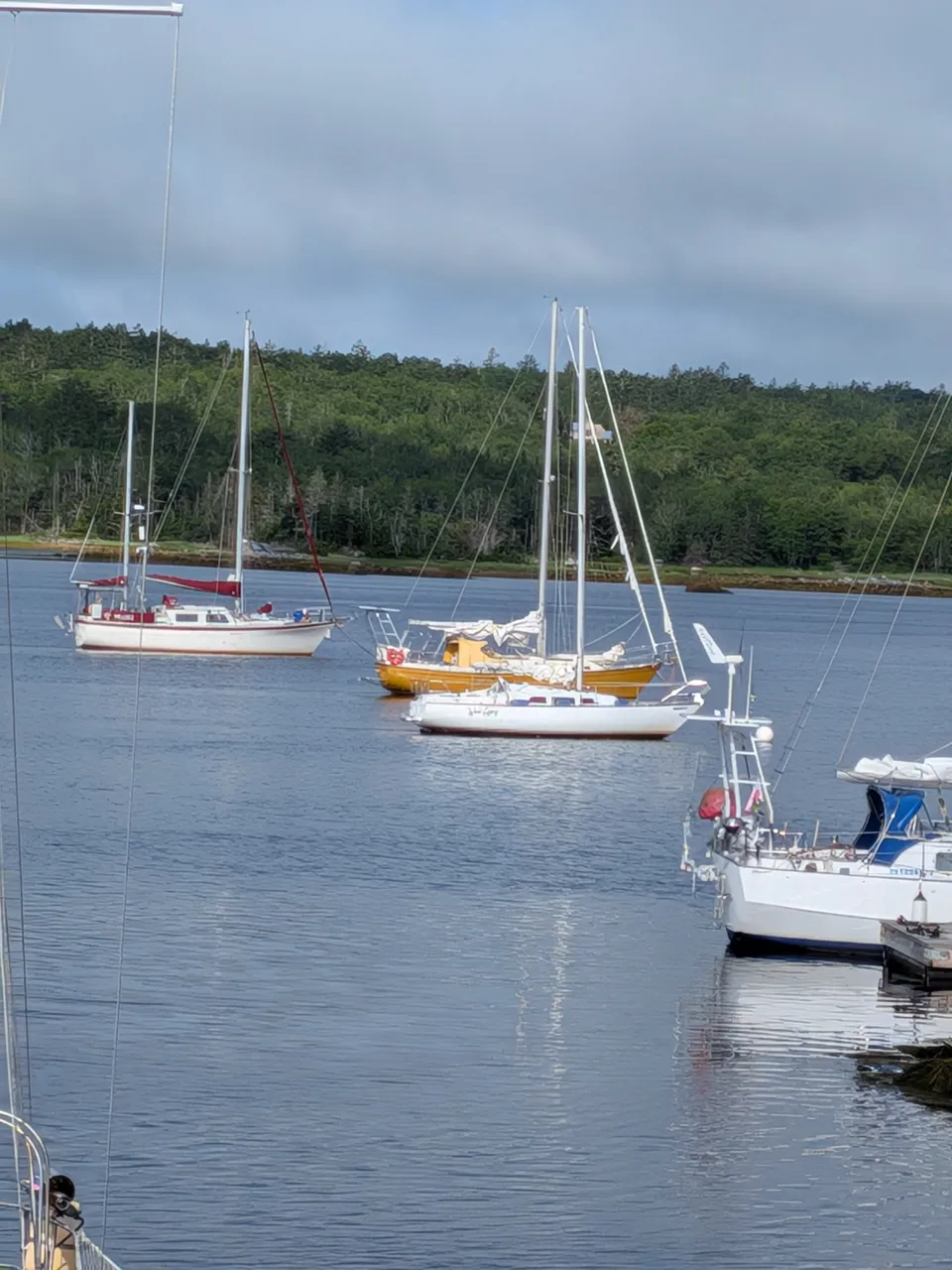 makina-moored=shyc.jpg