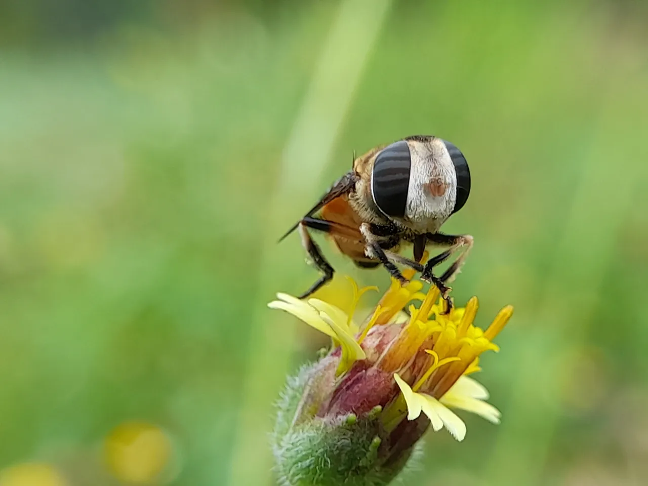 20210629_141352[1].jpg