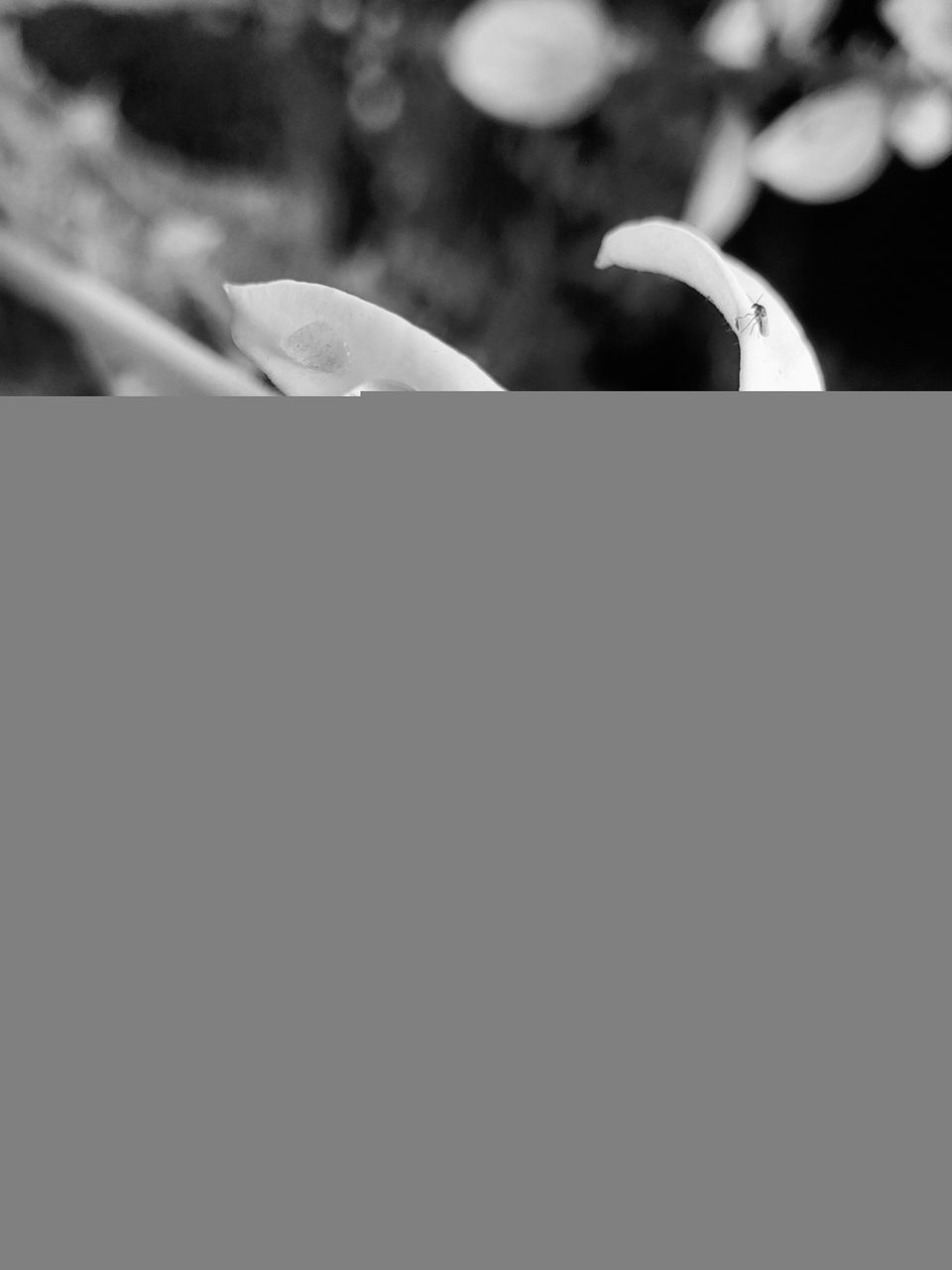 20210615_114024[1].jpg