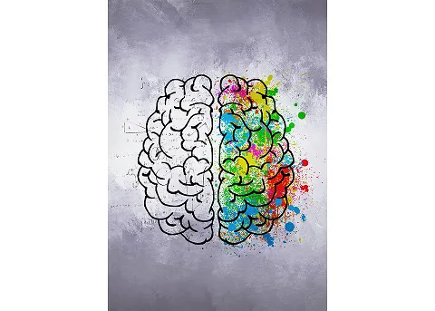 brain-4329864_1920.png
