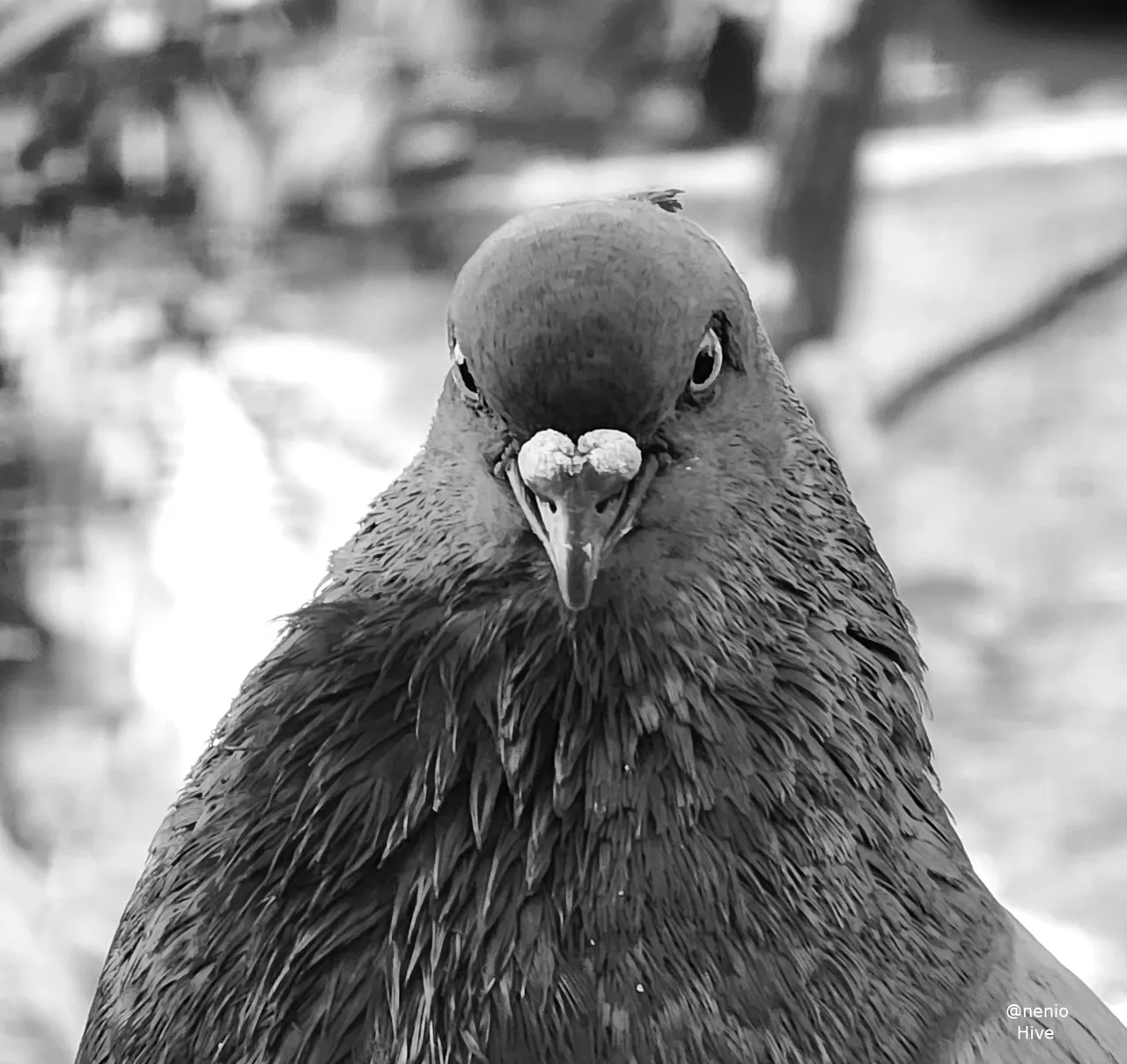 looking-you-001-bw.jpg