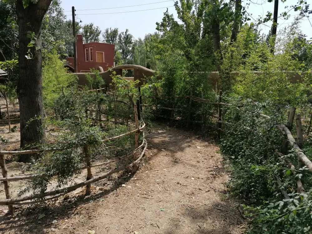 park9873284 (8).jpeg