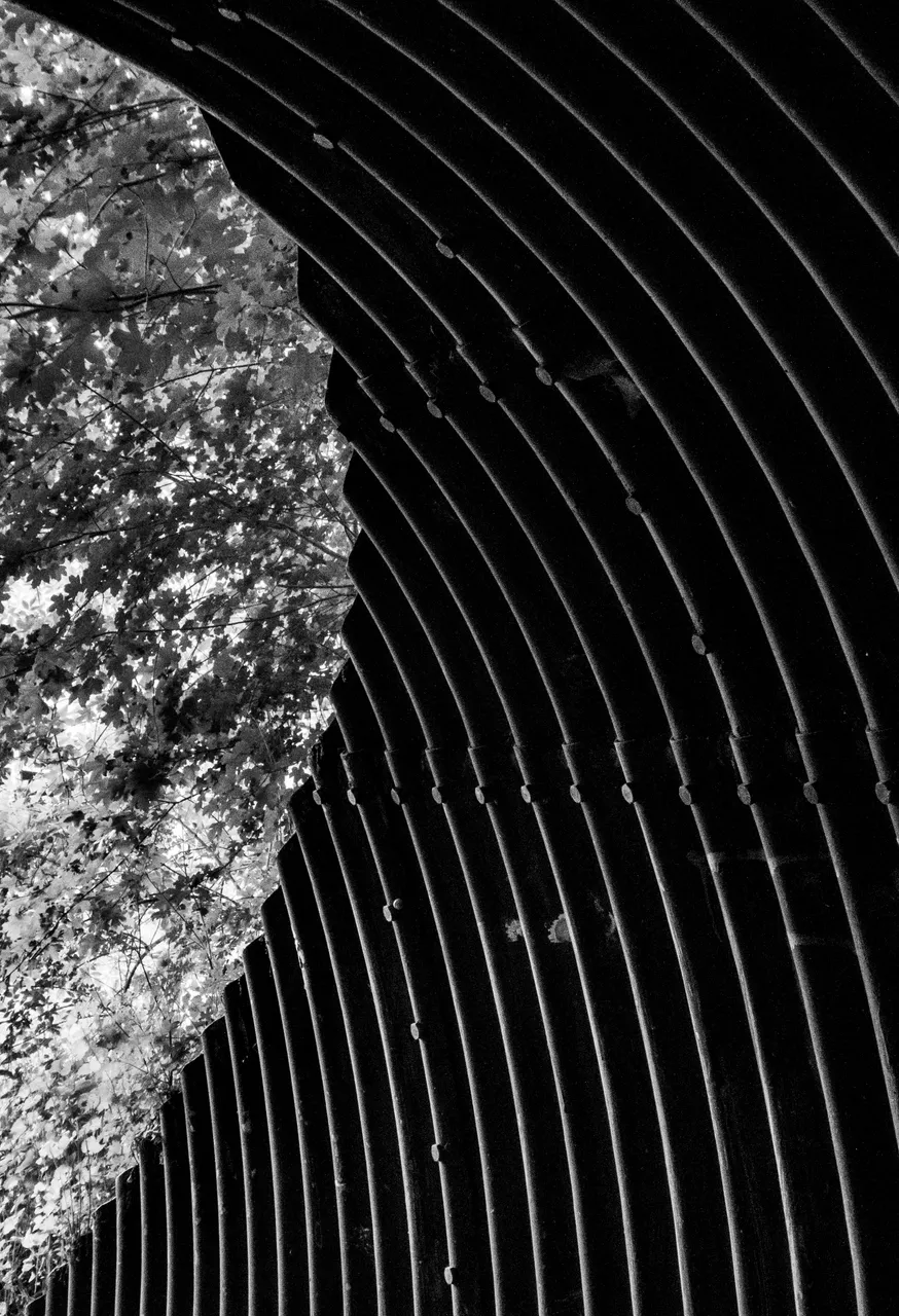 P1110156_Tunnel_BW.jpg
