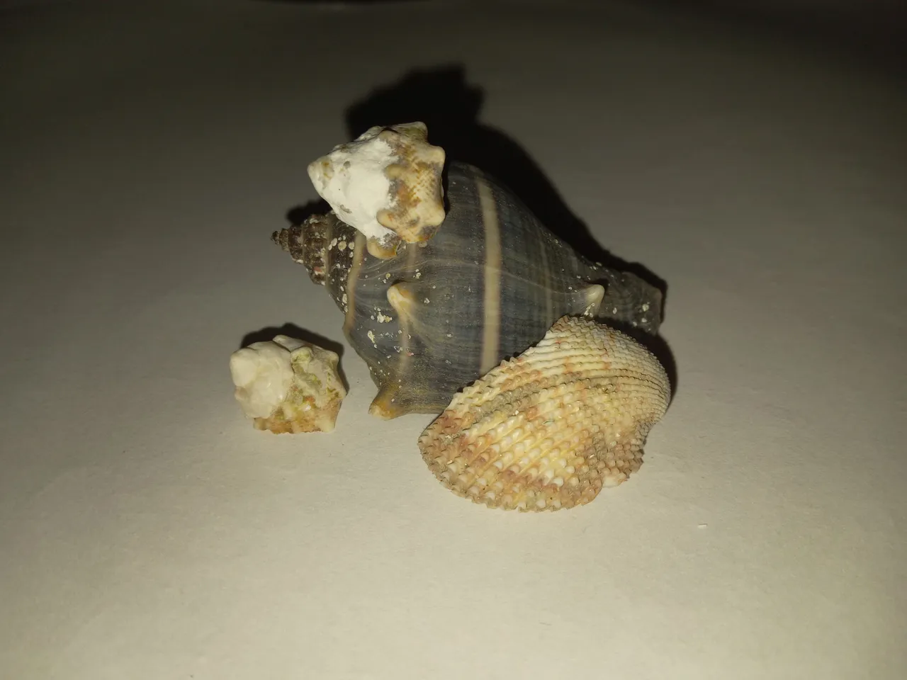 20250713_140556711.jpg