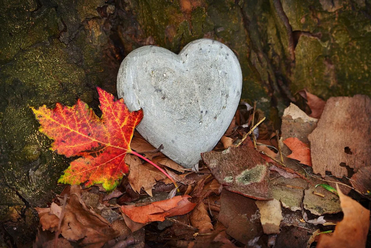 heart-3764307_1280.jpg