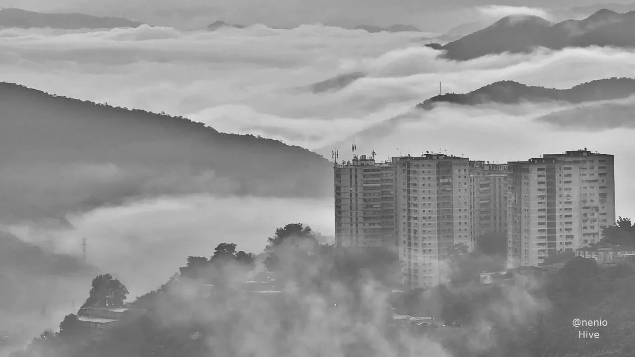 morning-fog-002-bw.jpg