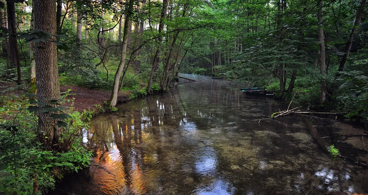 river-2637194_1280.jpg