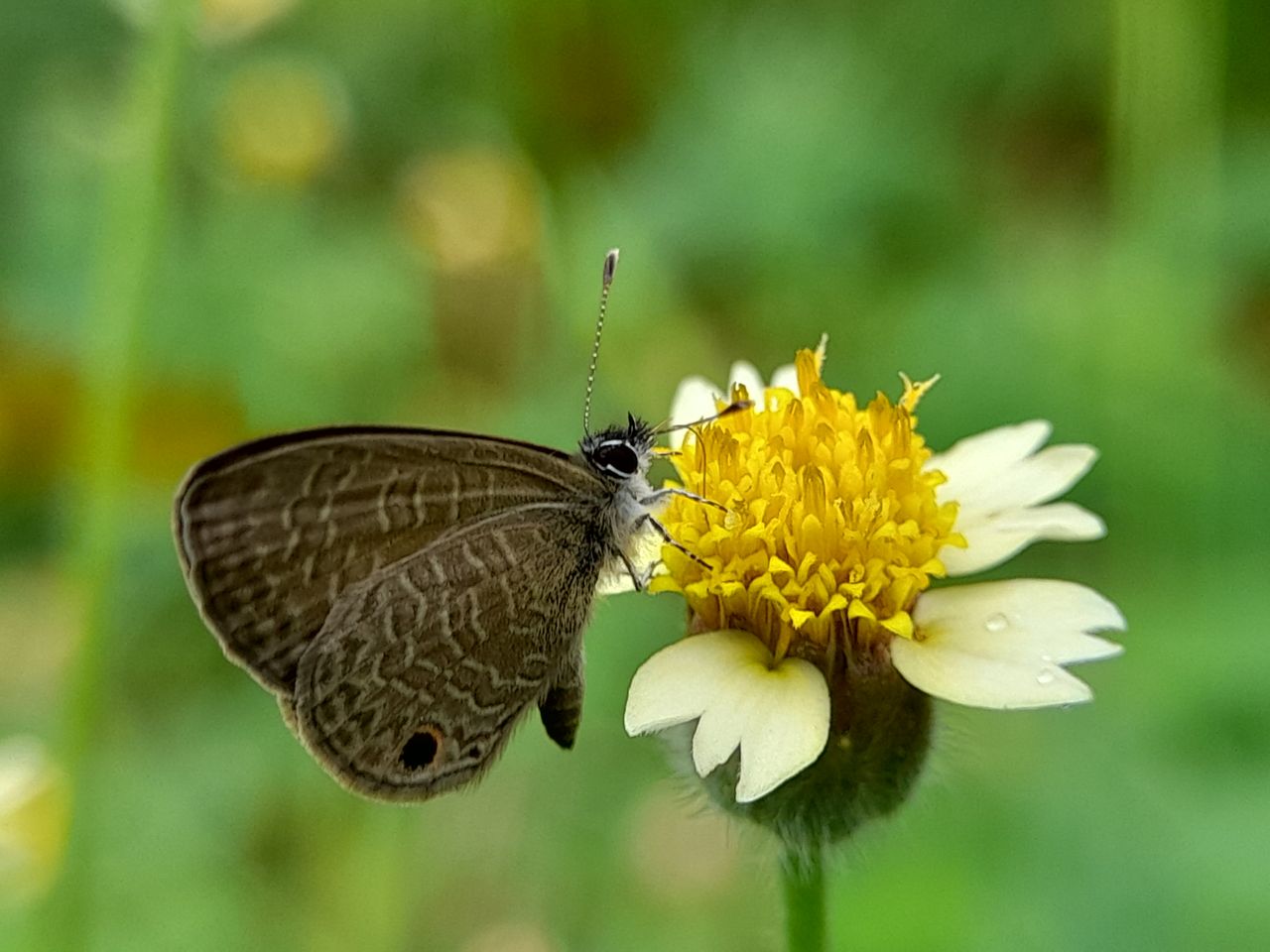 20210629_141947[1].jpg
