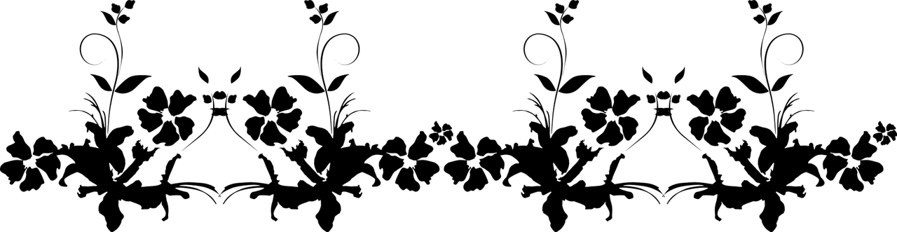 decorative-divider.png