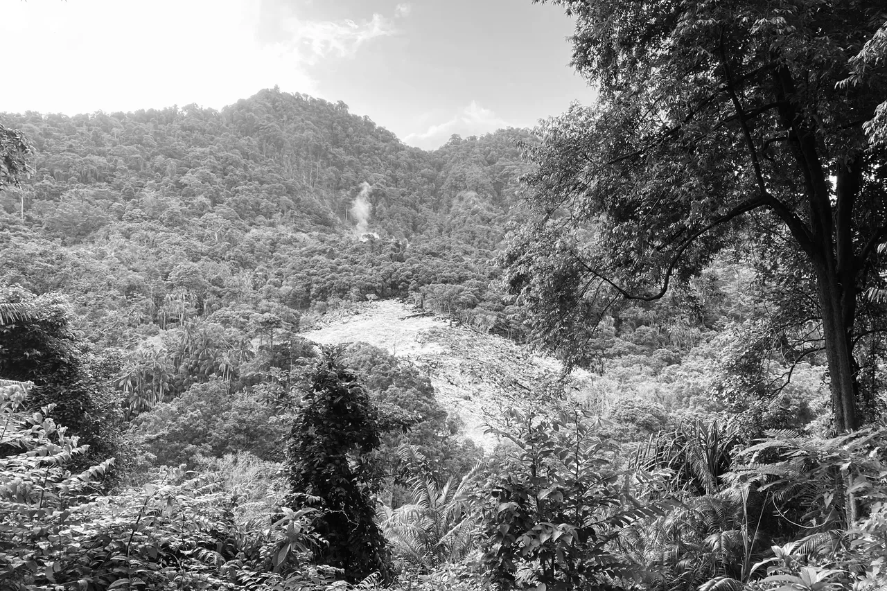 image00003-48-min.jpeg