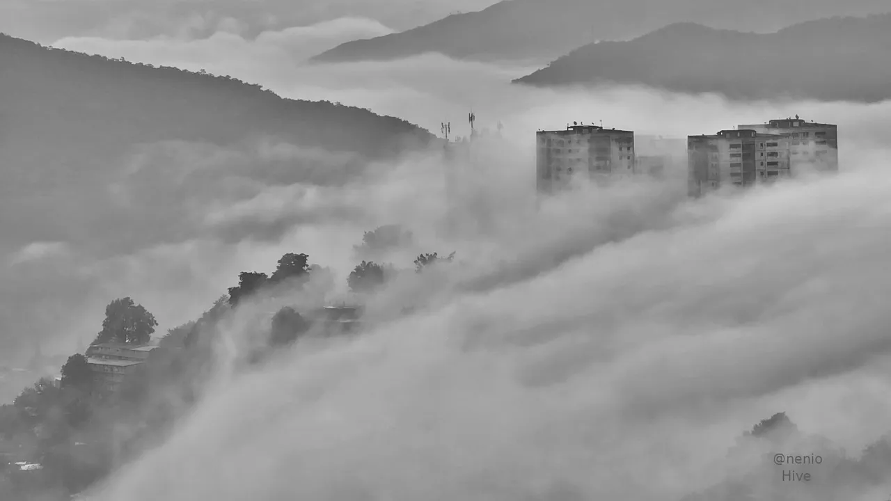 morning-fog-001-bw.jpg