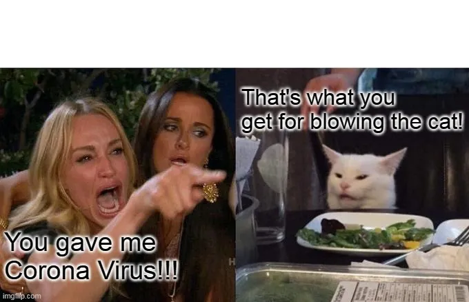 covid 19 meme3.jpg