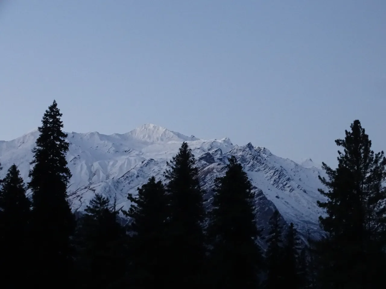 DSC09458_Original.jpeg