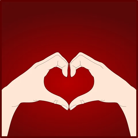 heart-3214928__480.png