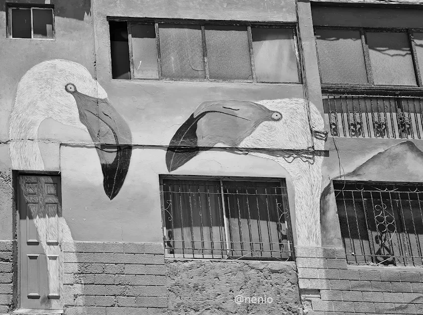 flamingos-mural-bw.jpg