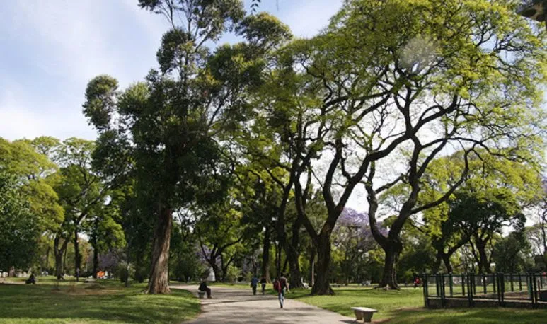 PARQUE PATRICIOS.jpg