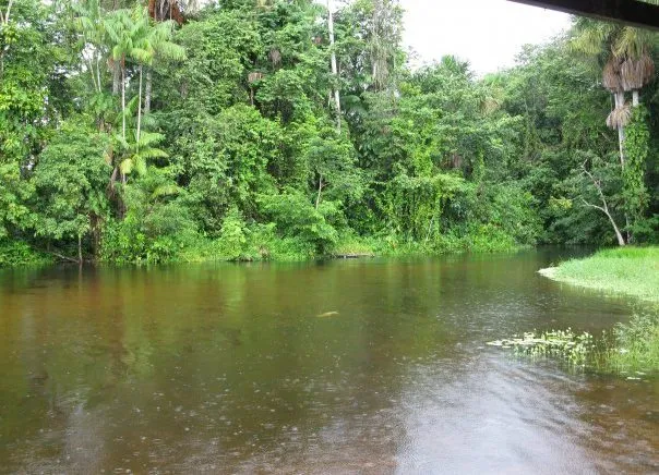 Rio y moriches.jpg