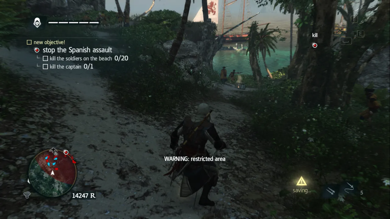 Black Flag (9).png