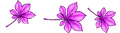 florecitas rosadas.png