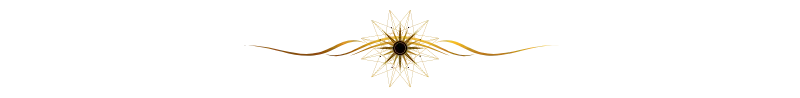 Leo Divider 2.webp