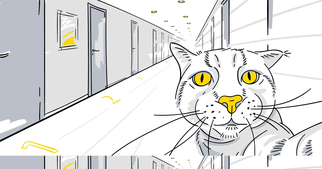 cat&hotel_1200x630.png
