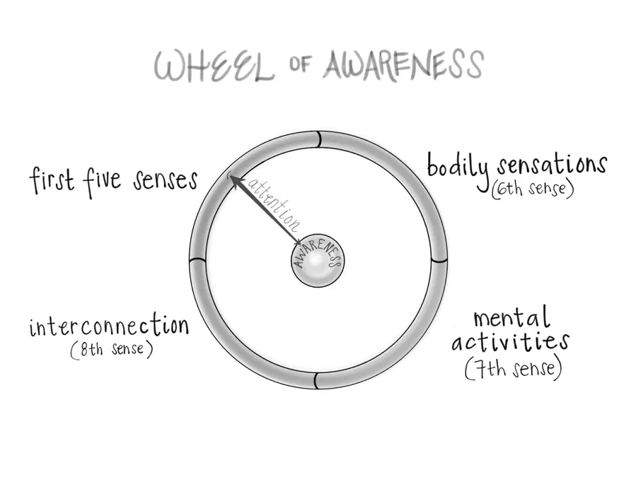 wheel_of_awareness.png