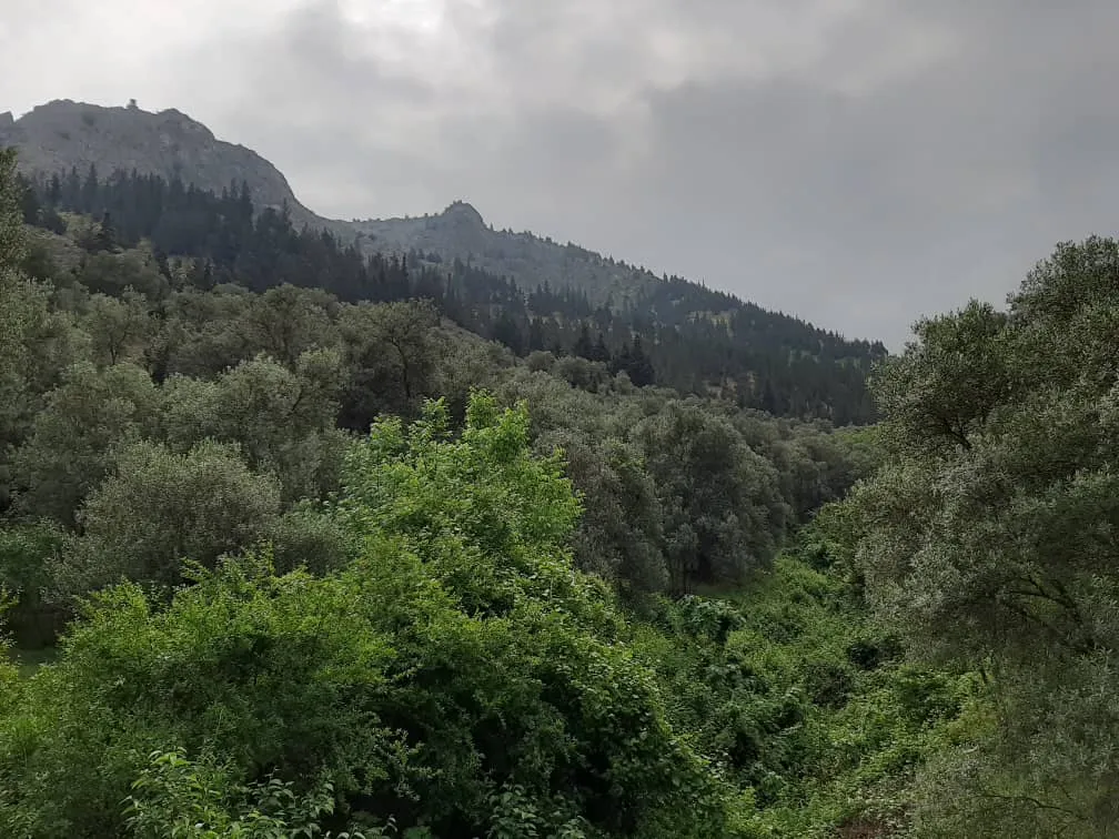 photonature77 (8).jpeg