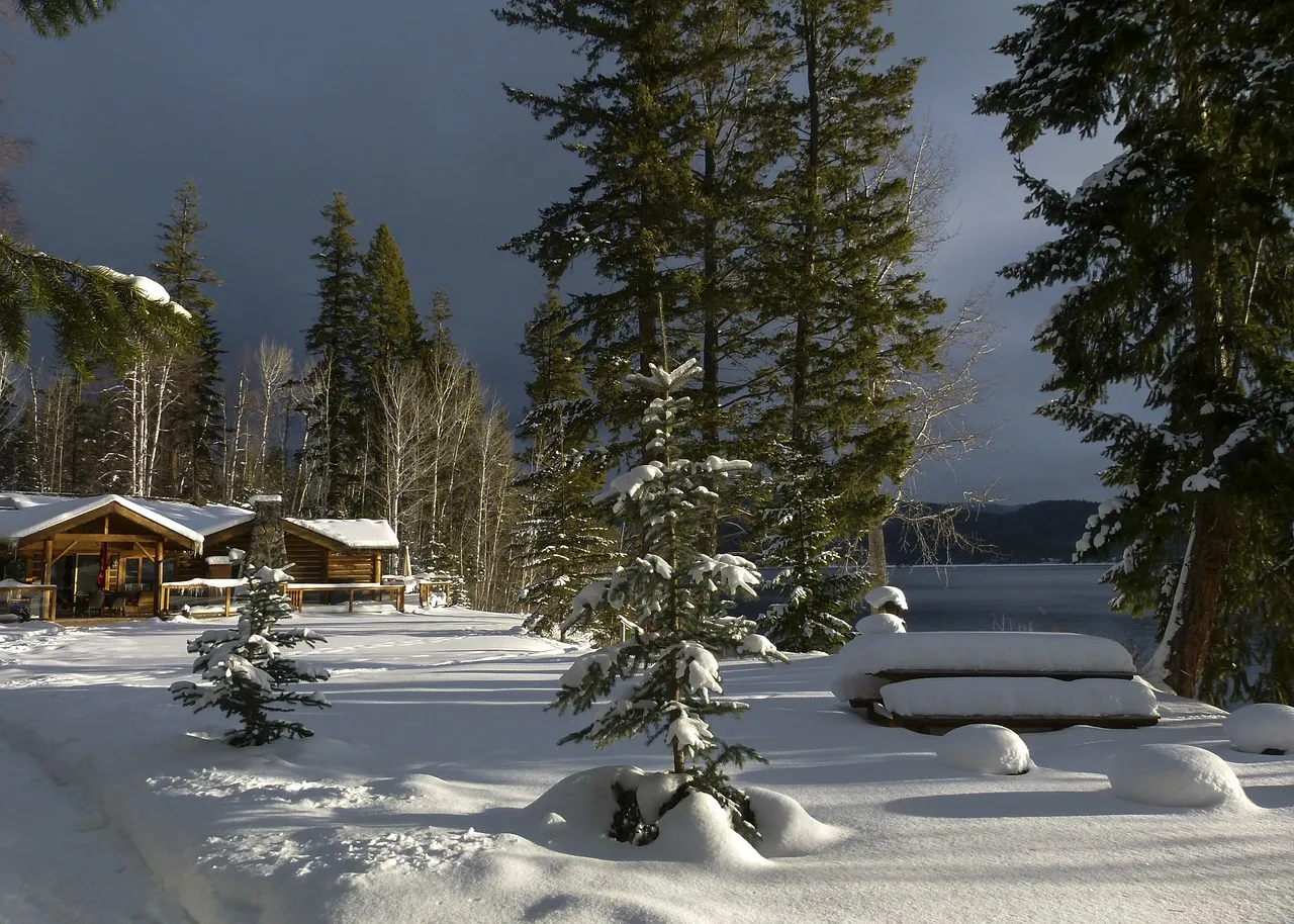 winter-181423_1280.jpg