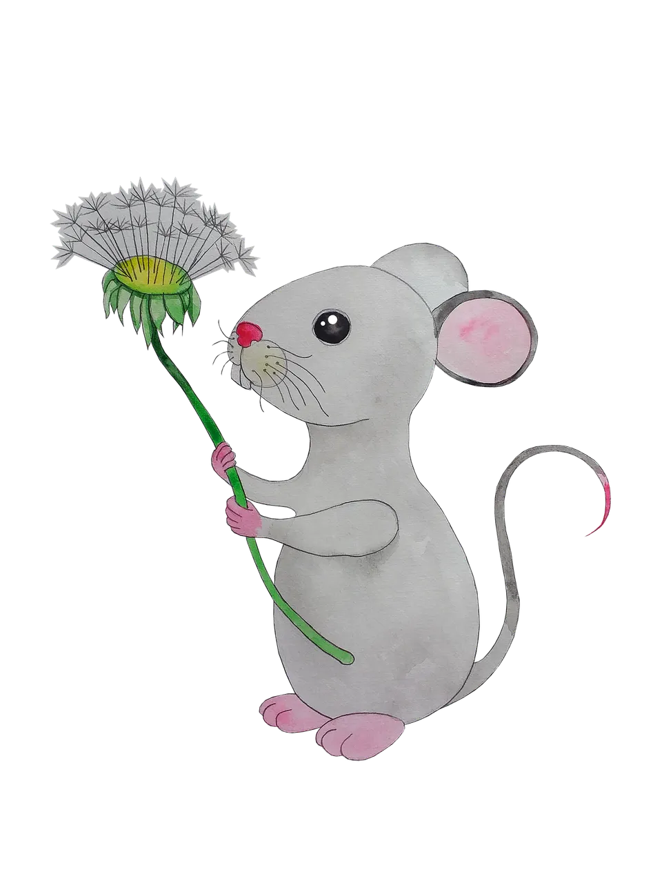 mouse-5718036_1920.png