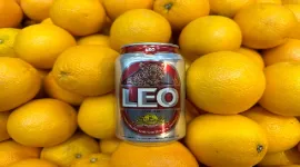 LEO BEER_resized.jpg